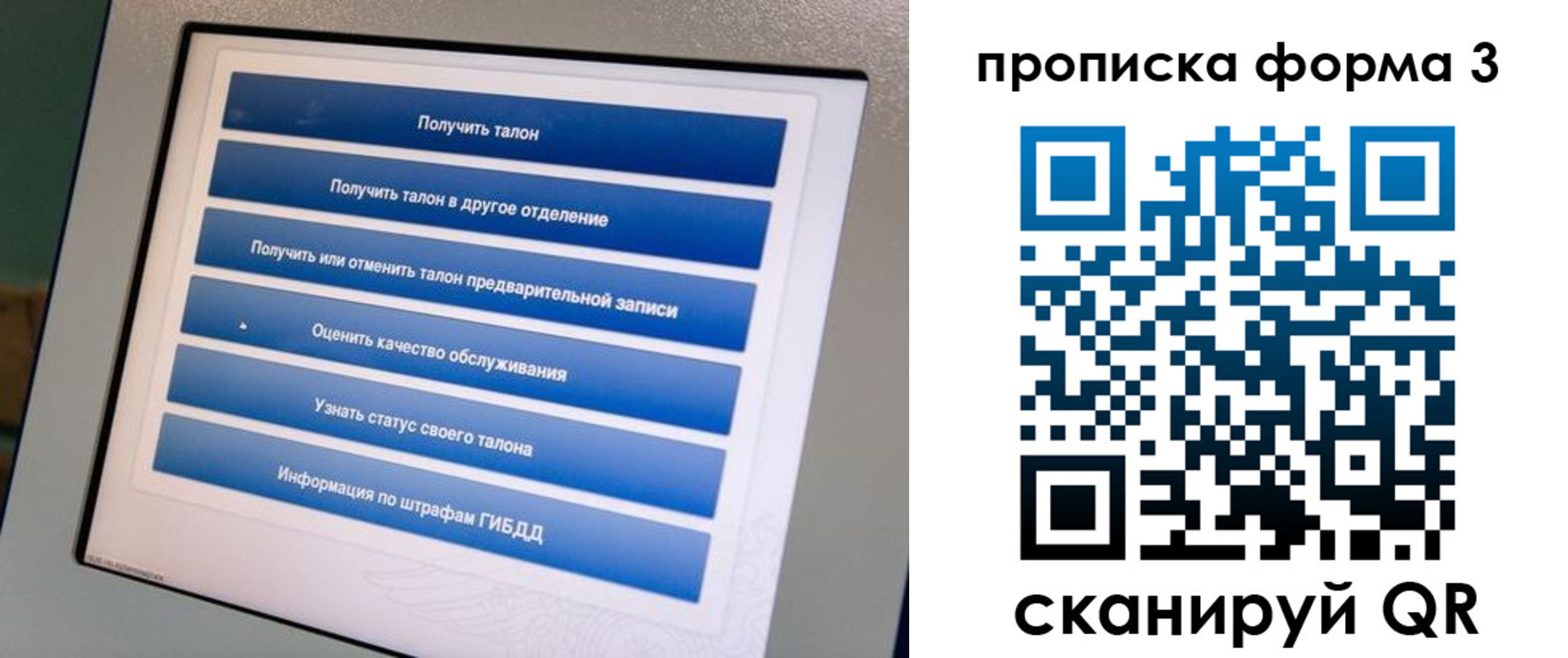 прописка в квартире в Камышлове